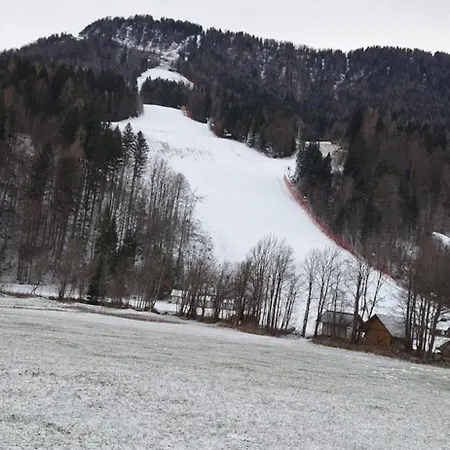 Mountainspring Apartma Kranjska Gora