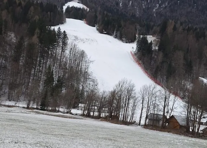 Mountainspring Apartmán Kranjska Gora